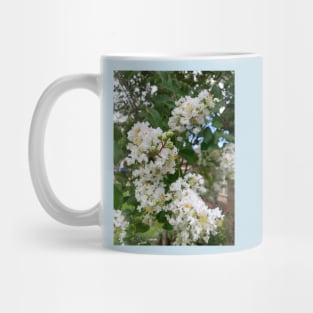 Natchez martle Mug